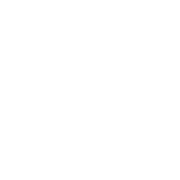 icone-desinfection